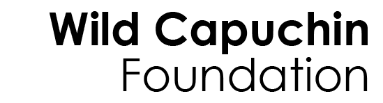 Wild Capuchin Foundation